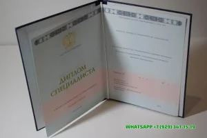 Купить диплом МИМ ЛИНК в Санкт-Петербурге — Международного института менеджмента ЛИНК